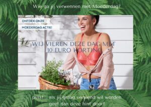 foto 6_Figura_Sliedrecht